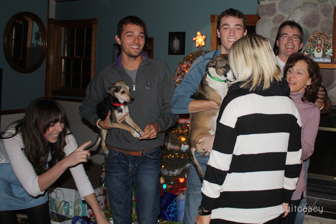 Suitcasey Silly Family