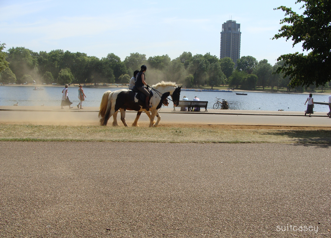 hyde-park-london-2009-suitcasey