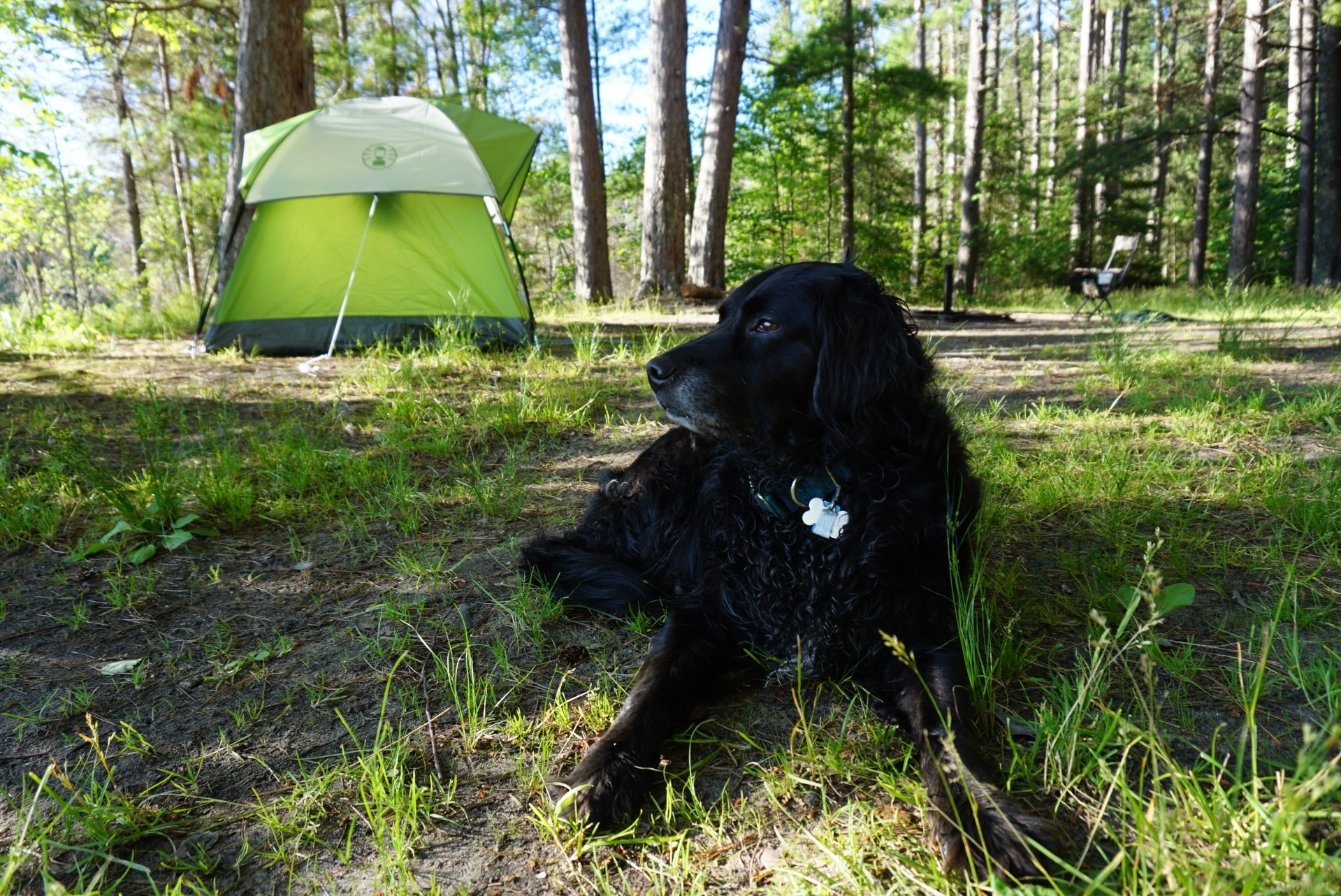 Suitcasey Audi UP Camping