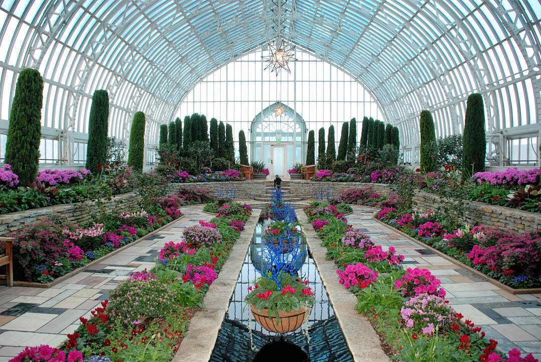 50992427_10161417330720068_4020846608970153984_o