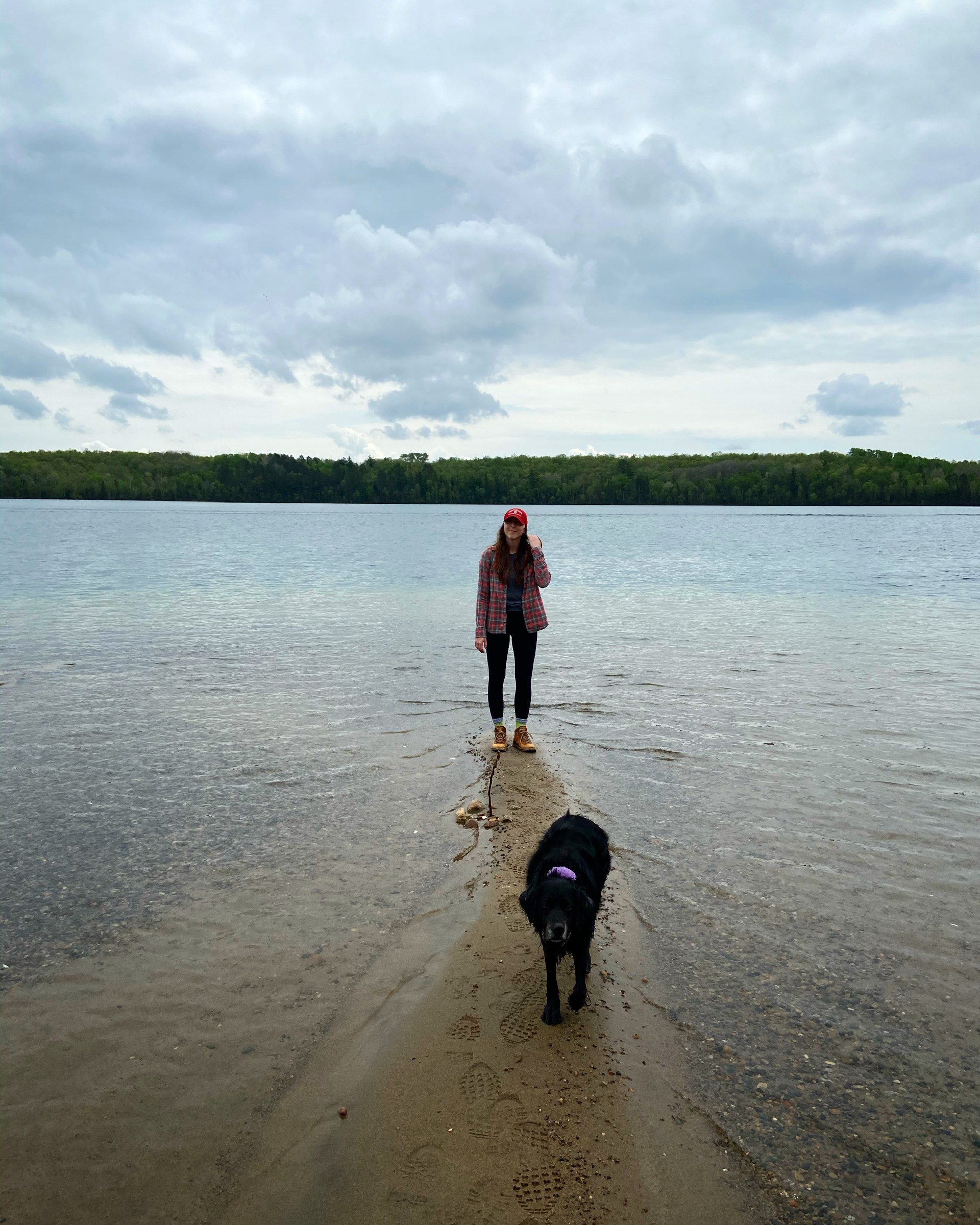 A52BD9B7-7B78-4D5E-B463-12320F0D0654